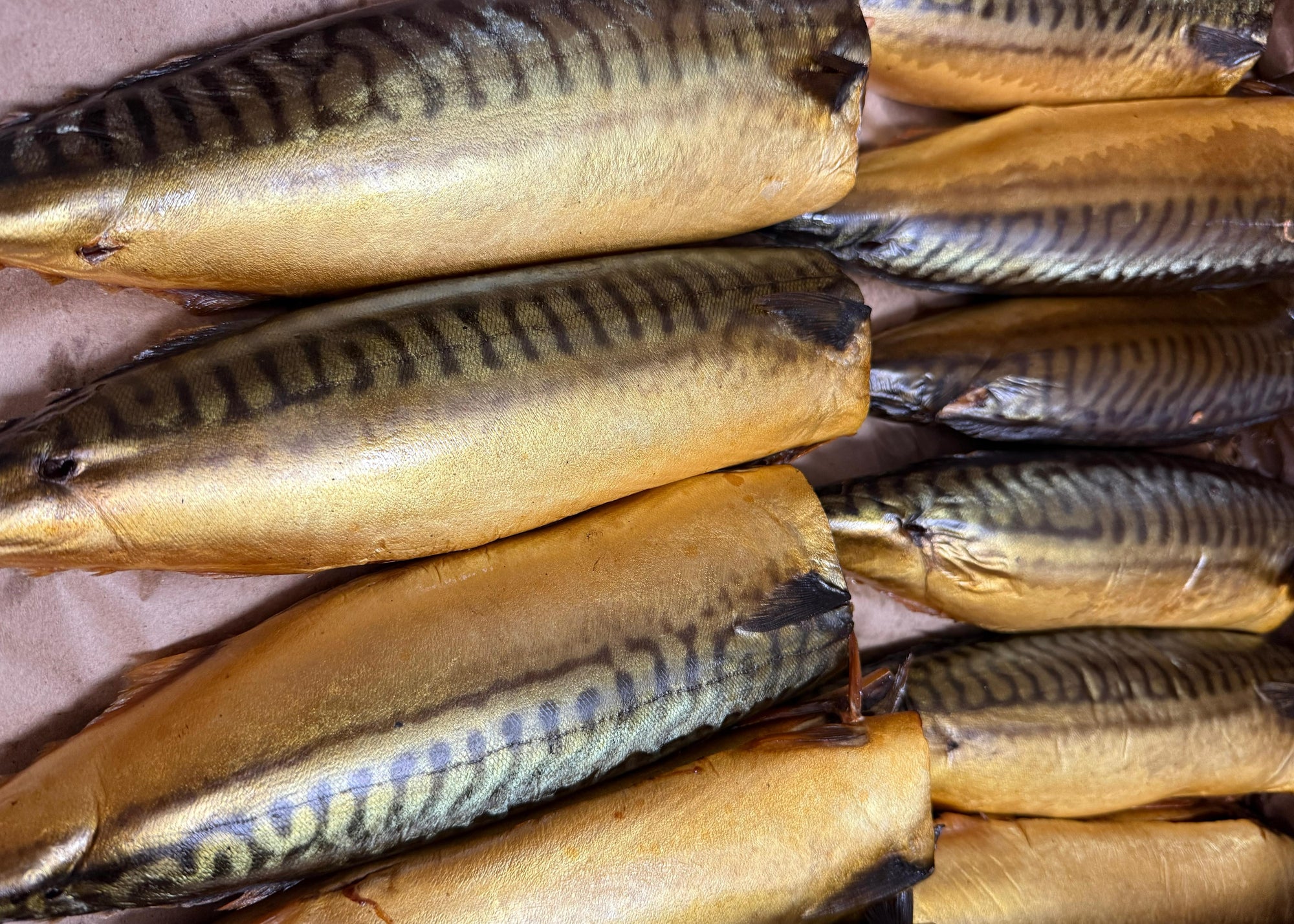 Maquereau Fumé à Froid