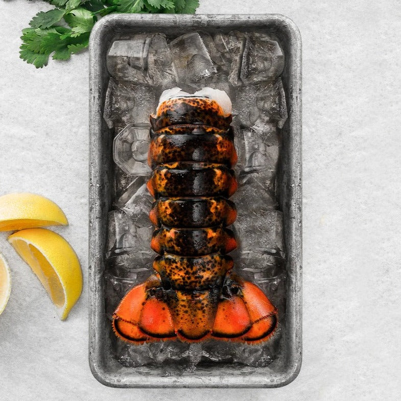 Premium Lobster Tails FROM 5 PC