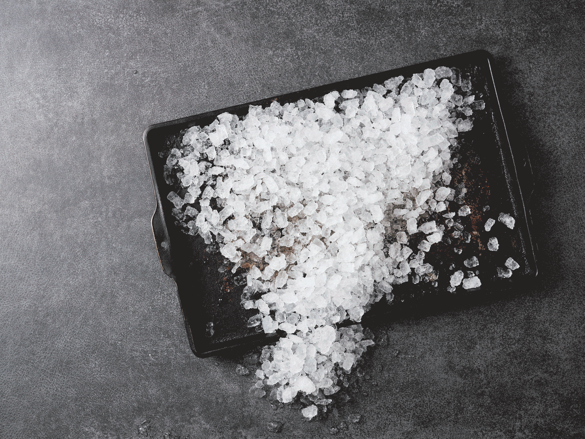 The Live Seafood Experience