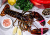 Freshly Caught Live or Cooked Maine Lobster FROM 2 PC