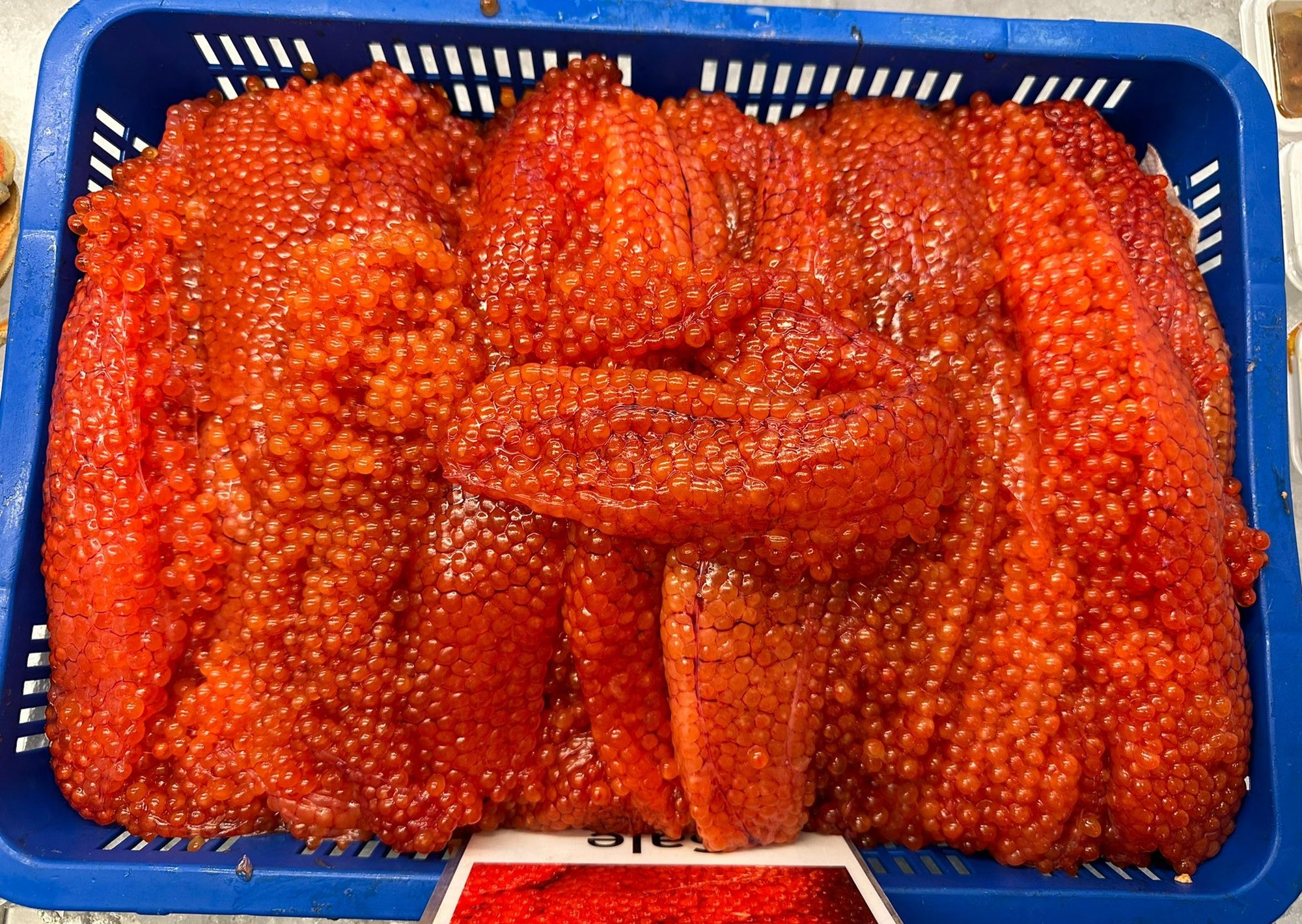 Fresh Uncured Chum Salmon Roe FROM 5 LB (PREORDER AUGUST 2024)