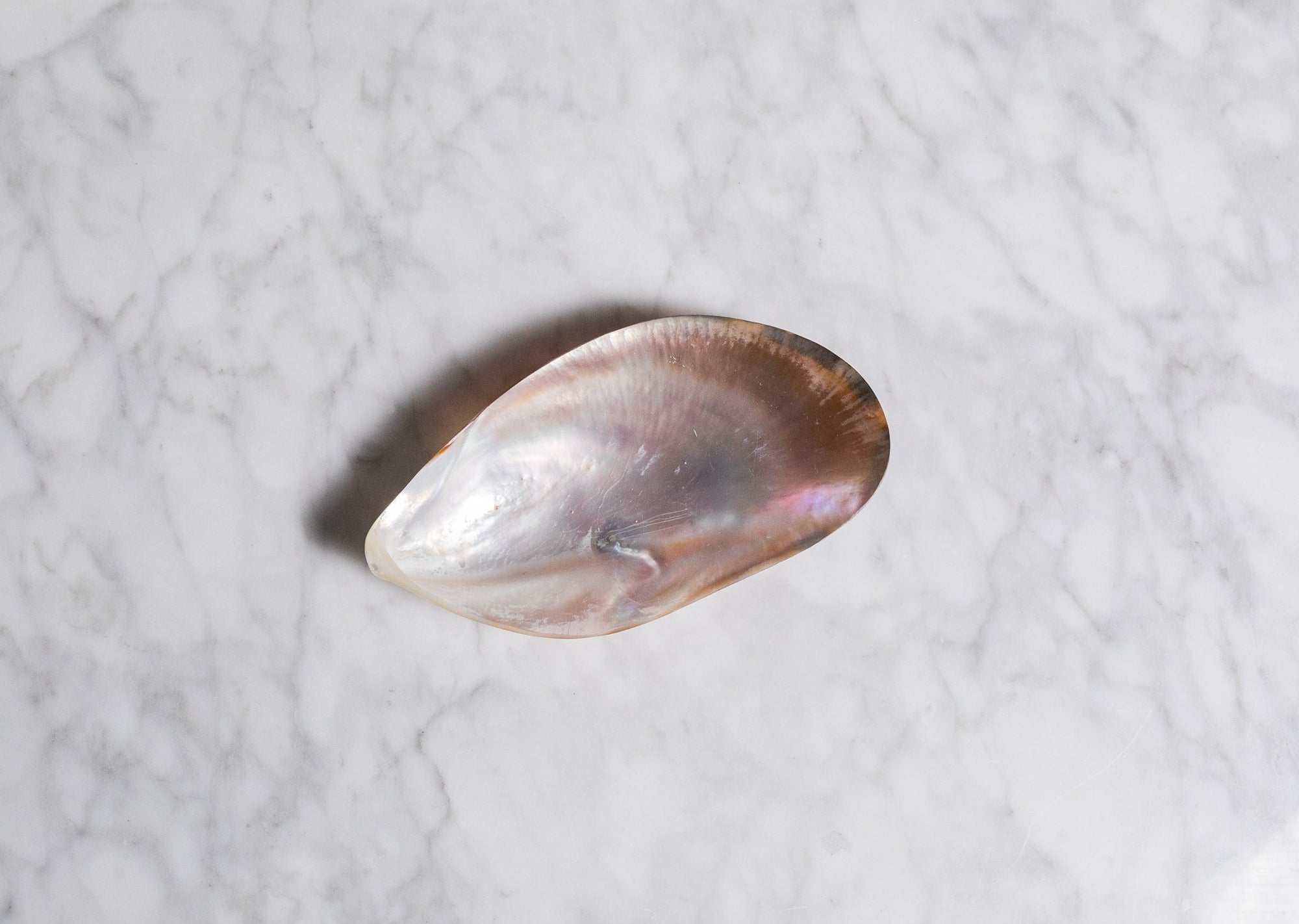 Mother of Pearl Caviar Spoons &amp; Plates