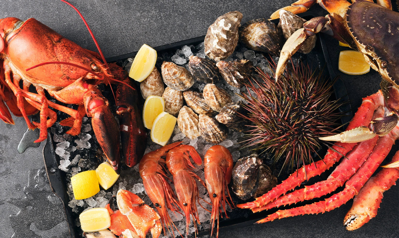 The Live Seafood Experience