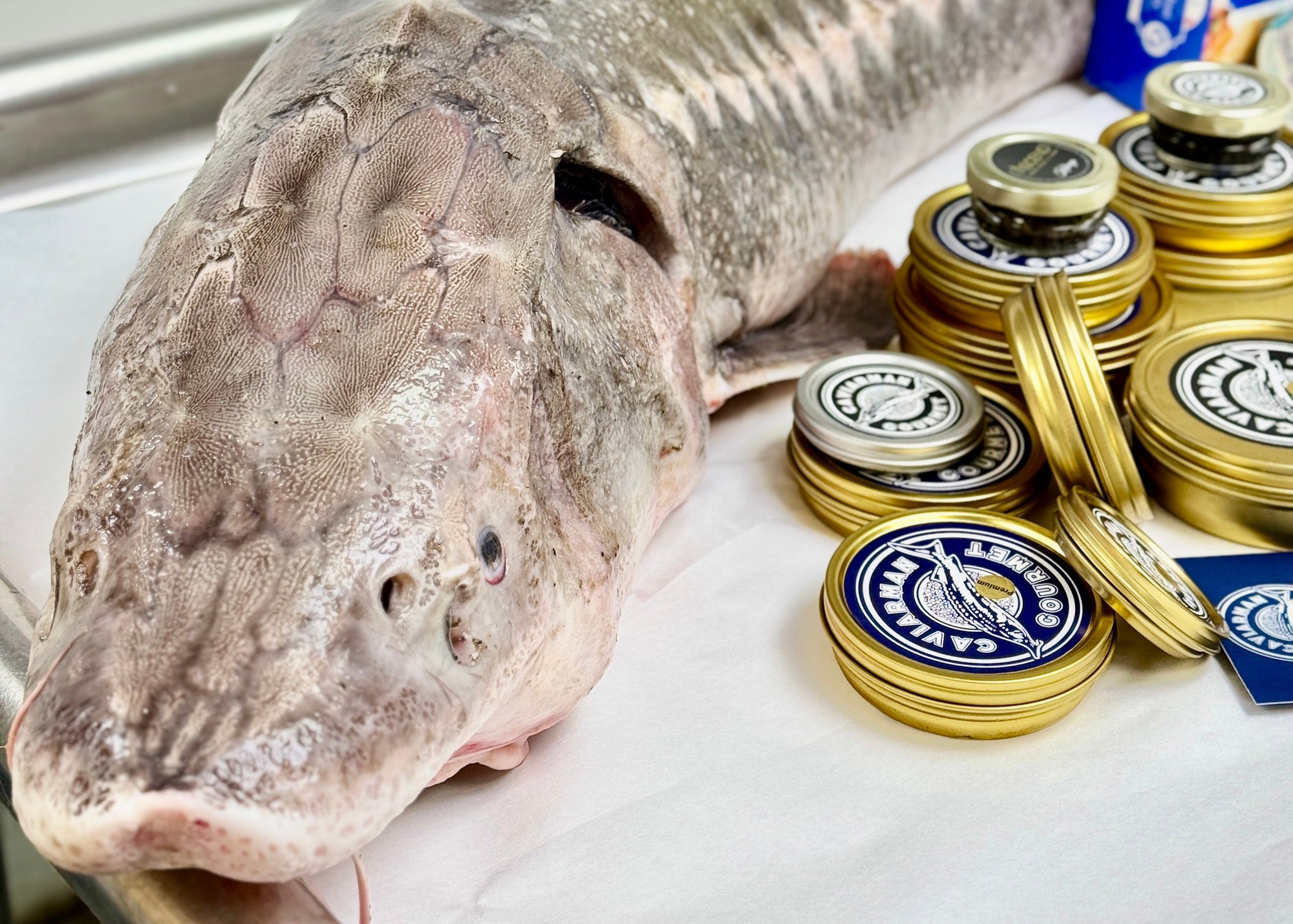 Imperial Sturgeon Kaluga Caviar (Asia)