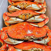 Fresh Cooked or Live Whole Jumbo Dungeness Crab 2 lb up each FROM 5 PC
