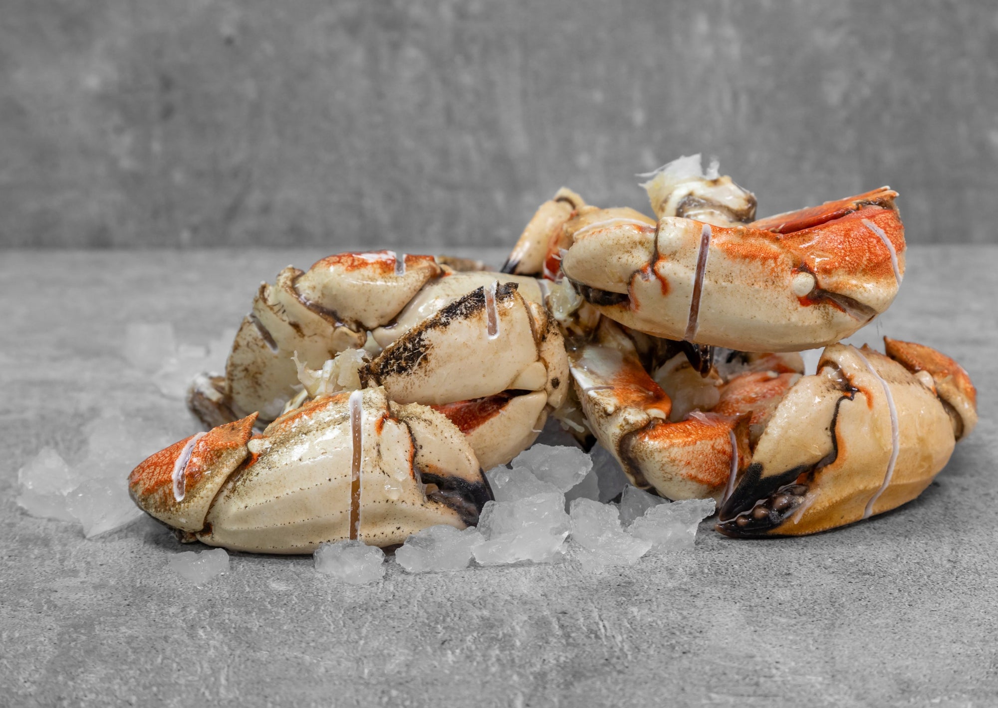 Jumbo Jonah Crab Cocktail Claws FROM 5 LB