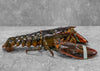 Freshly Caught Live or Cooked Maine Lobster FROM 2 PC