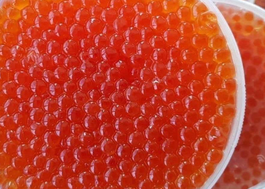 Homemade Chum Salmon Caviar (No Preservatives) $60 lb