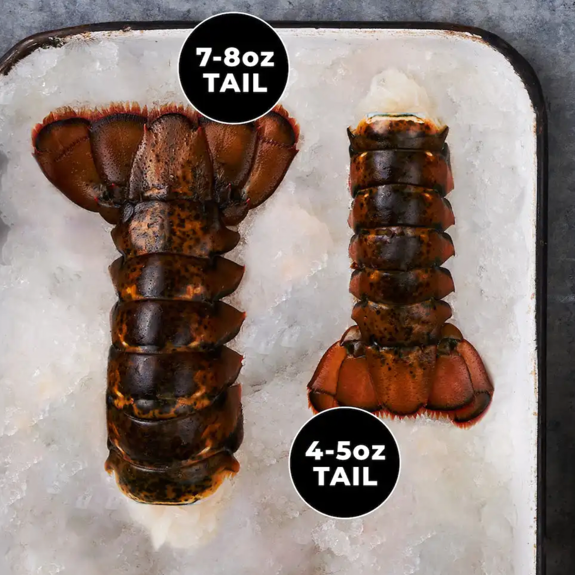 Premium Lobster Tails FROM 5 PC