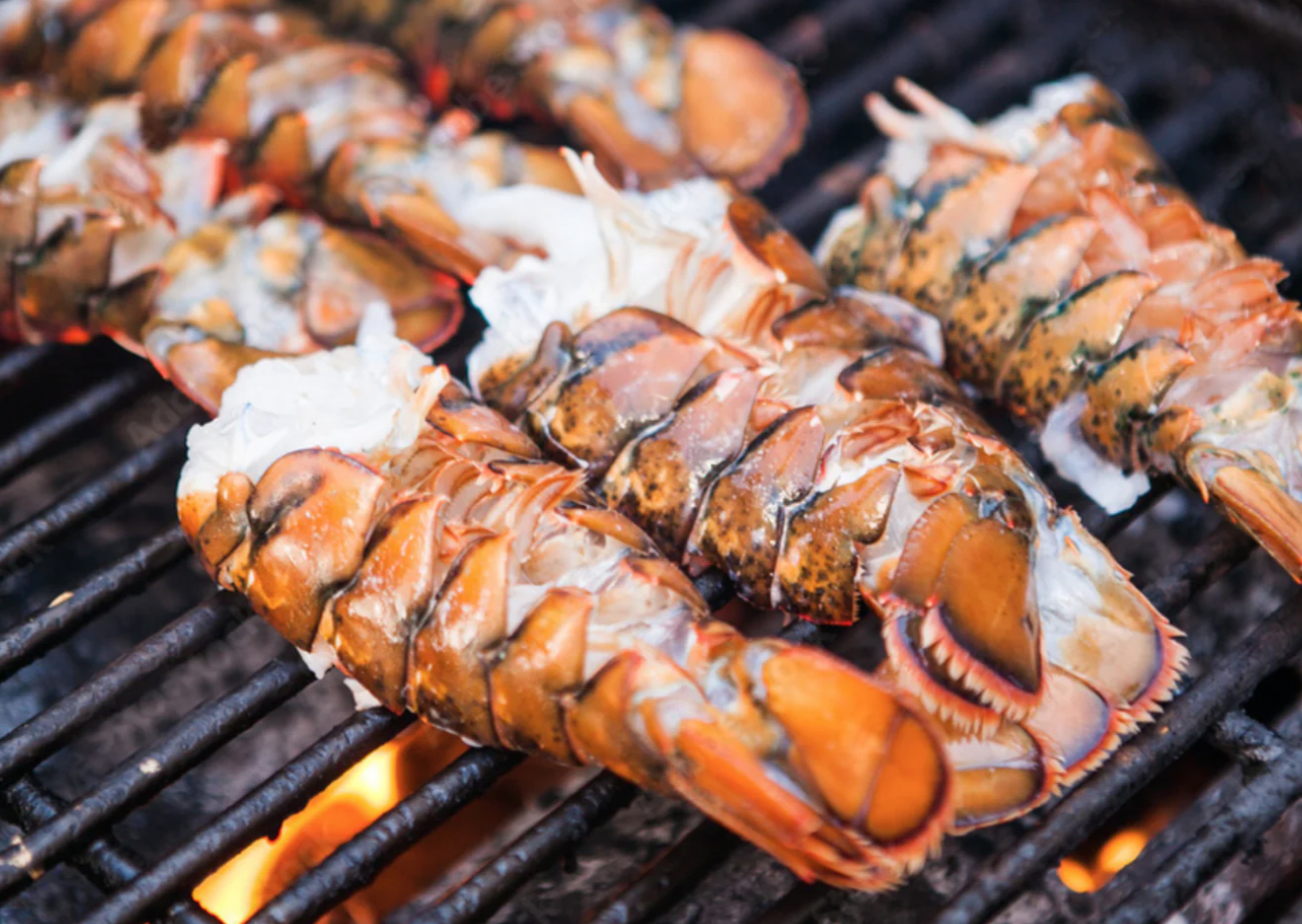 Premium Lobster Tails FROM 5 PC