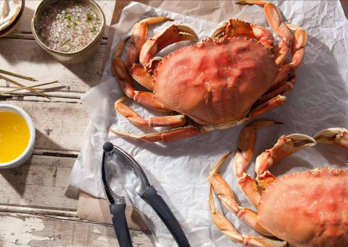 Fresh Cooked or Live Whole Jumbo Dungeness Crab 2 lb up each FROM 5 PC
