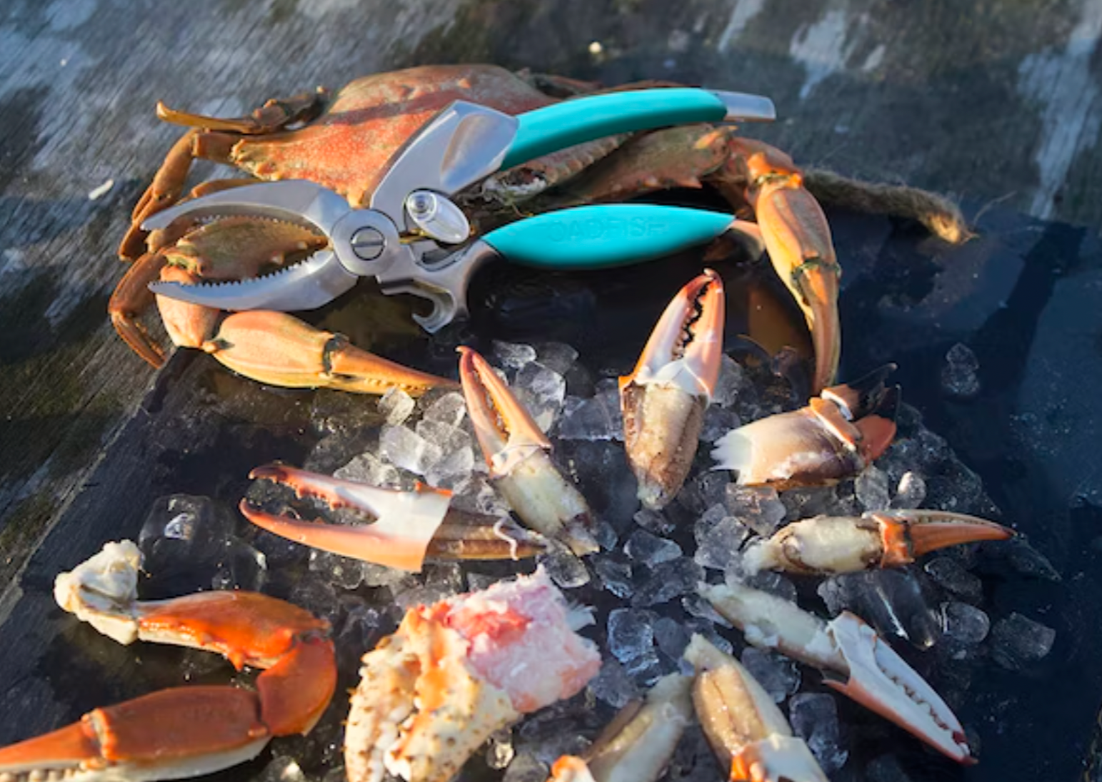 Coupe-pinces de crabe (cracker de crabe)