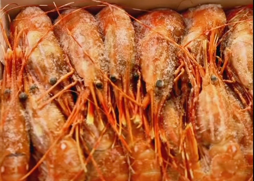 Premium Wild-Caught Spot Prawns – Frozen, Sweet &amp; Tender (Jumbo, 2.2 lbs)