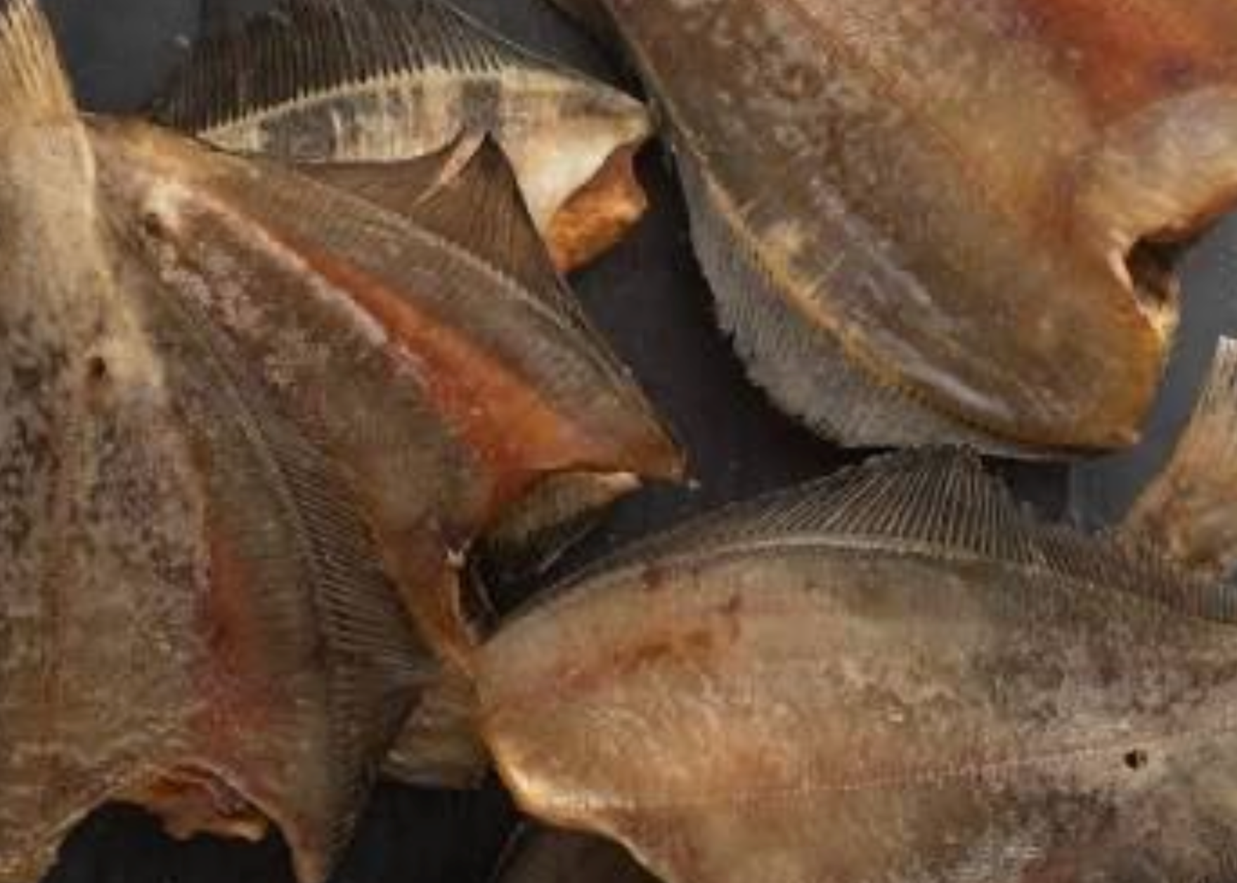 Dry Petrale Sole (Murmansky Yorsh) 1-2 lb ea Average