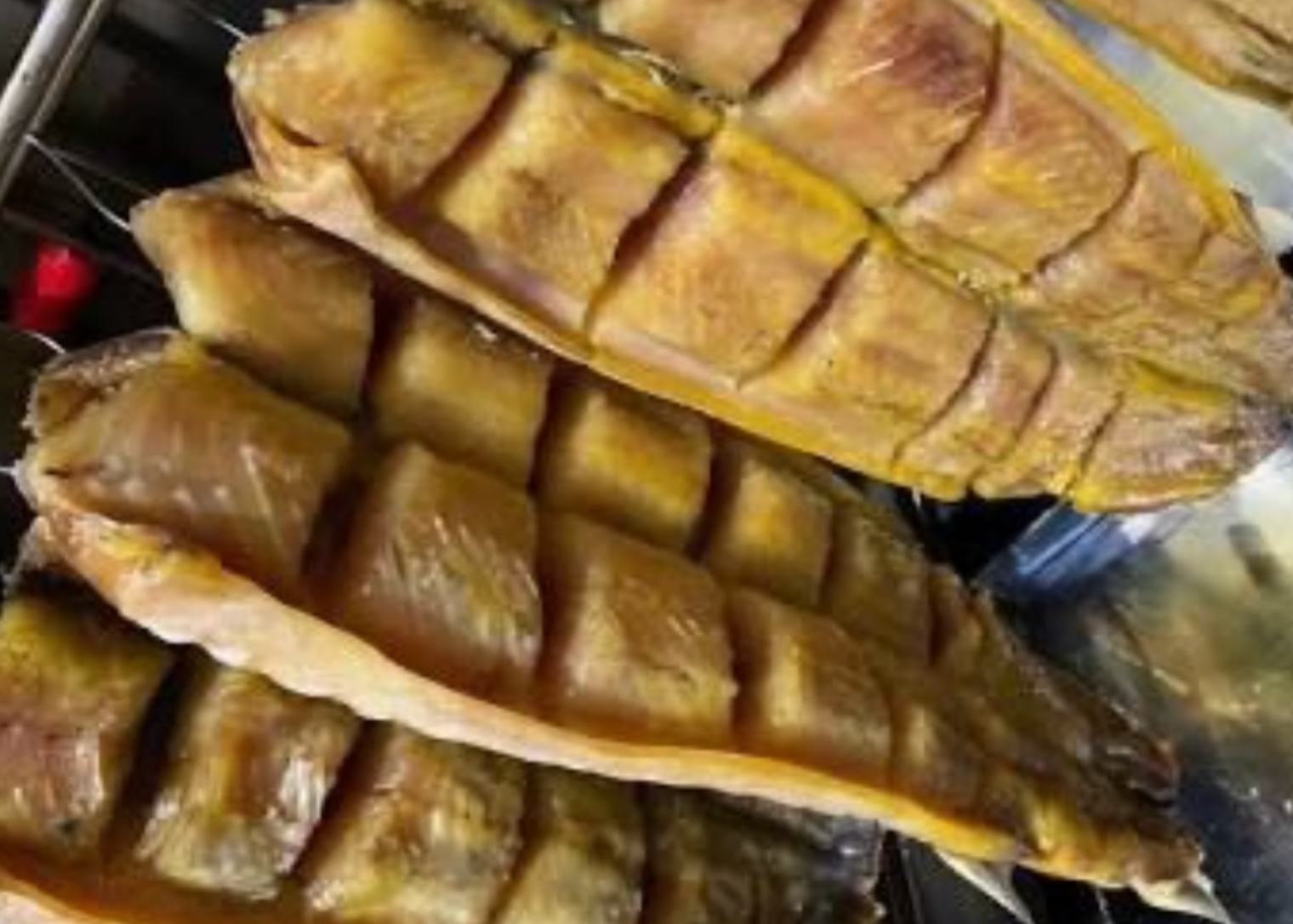 Cold Smoked Sturgeon (Balik) 1 LB Average