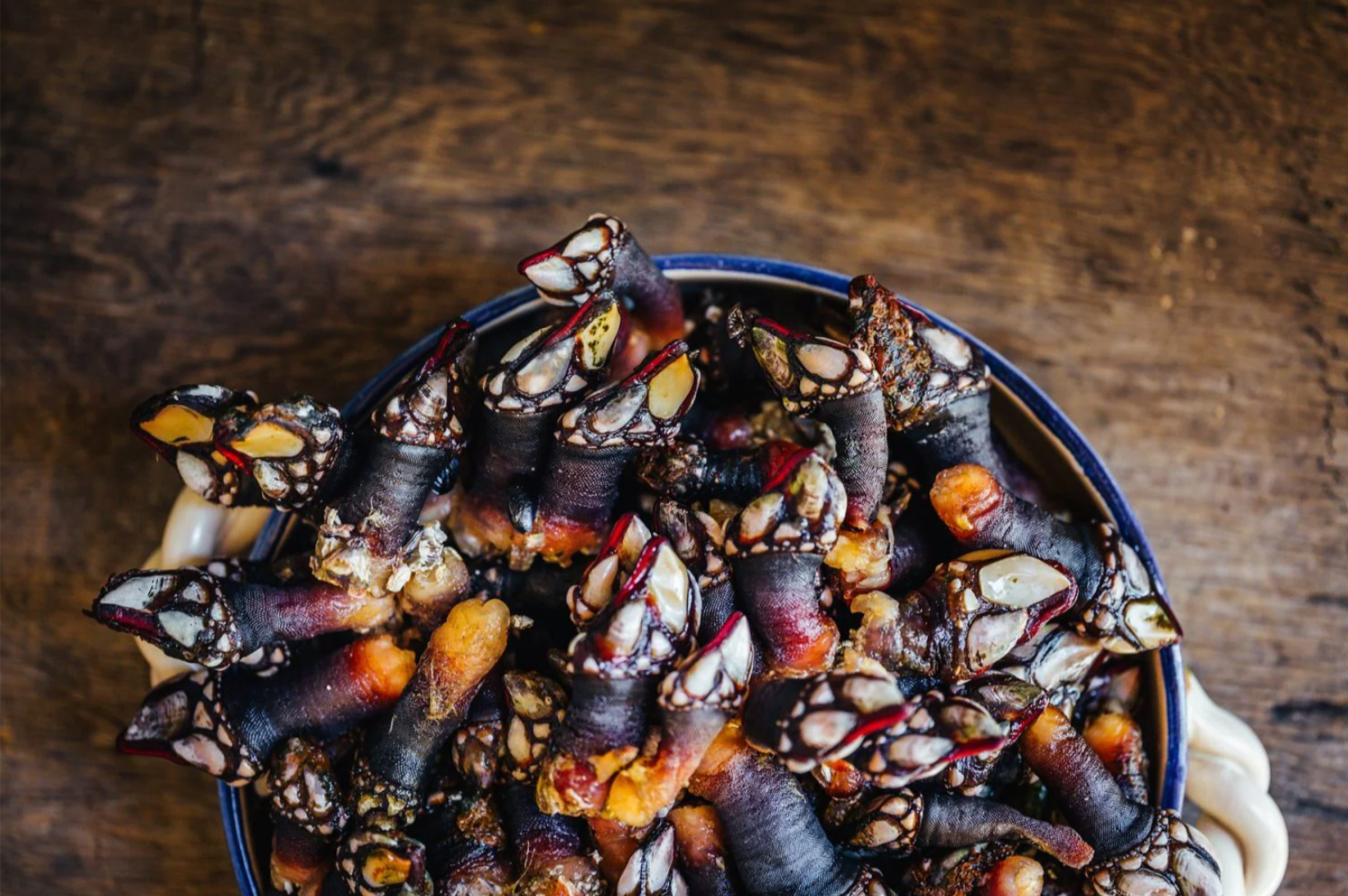 Live Percebes Gooseneck Barnacles (1 LB)