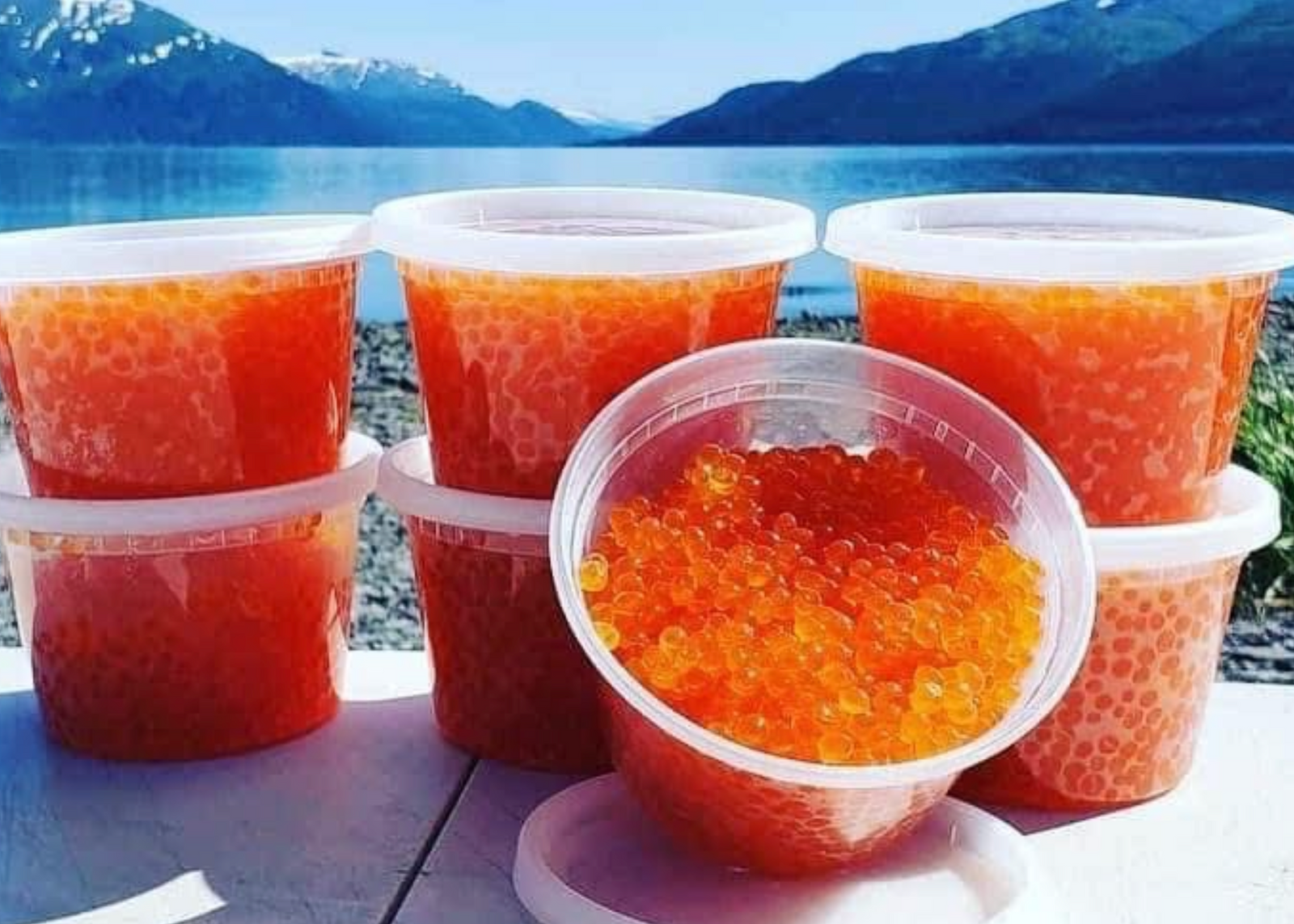 2025 Homemade Chum Salmon Caviar (No Preservatives)