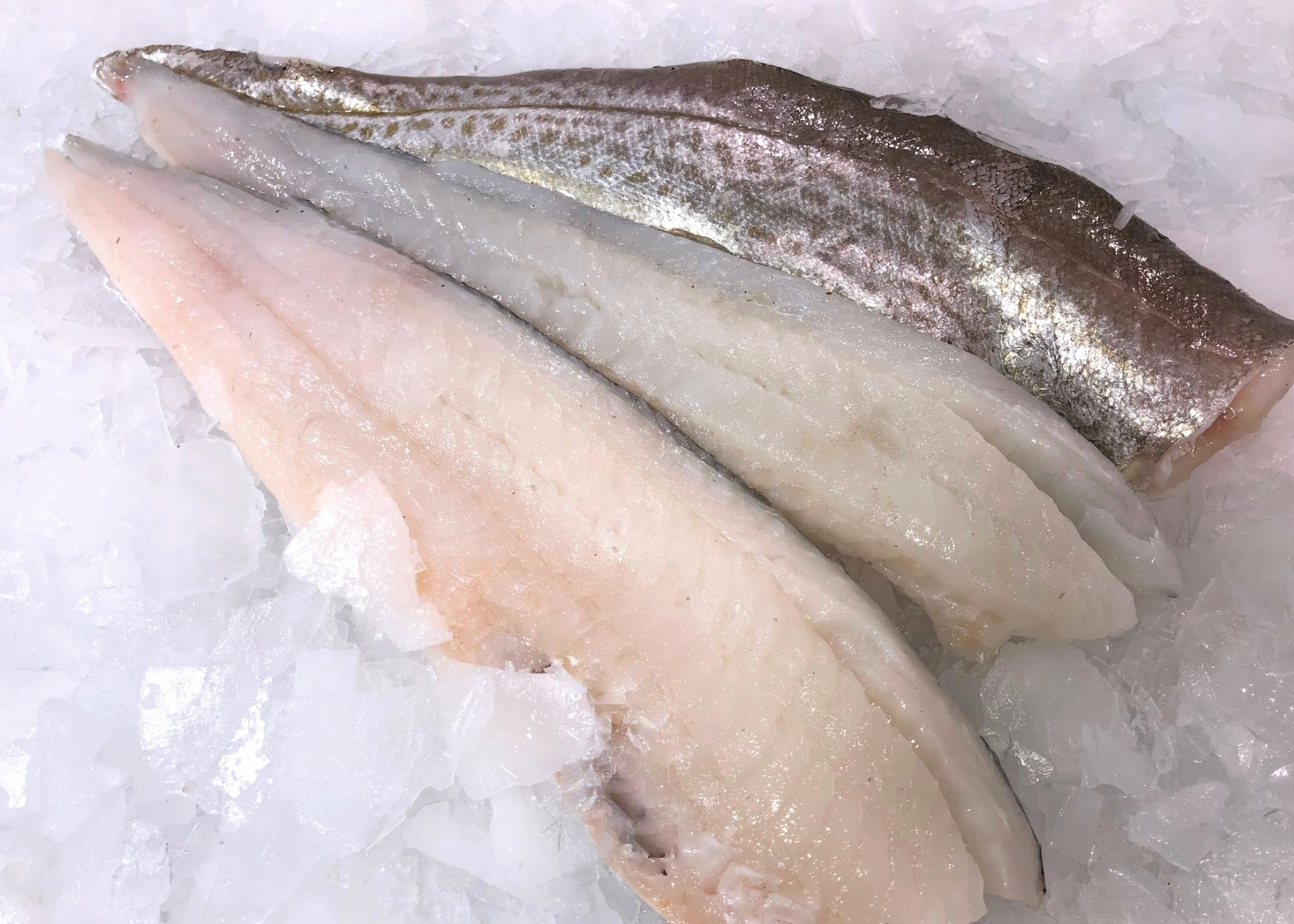 Shipping 12/01/2025: Frozen Premium Whiting Fillet 4 lb Retail Bag (50% OFF)