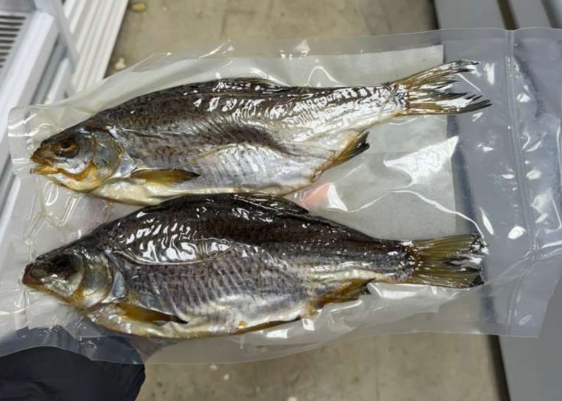 Dried Taranka (Ukraine)