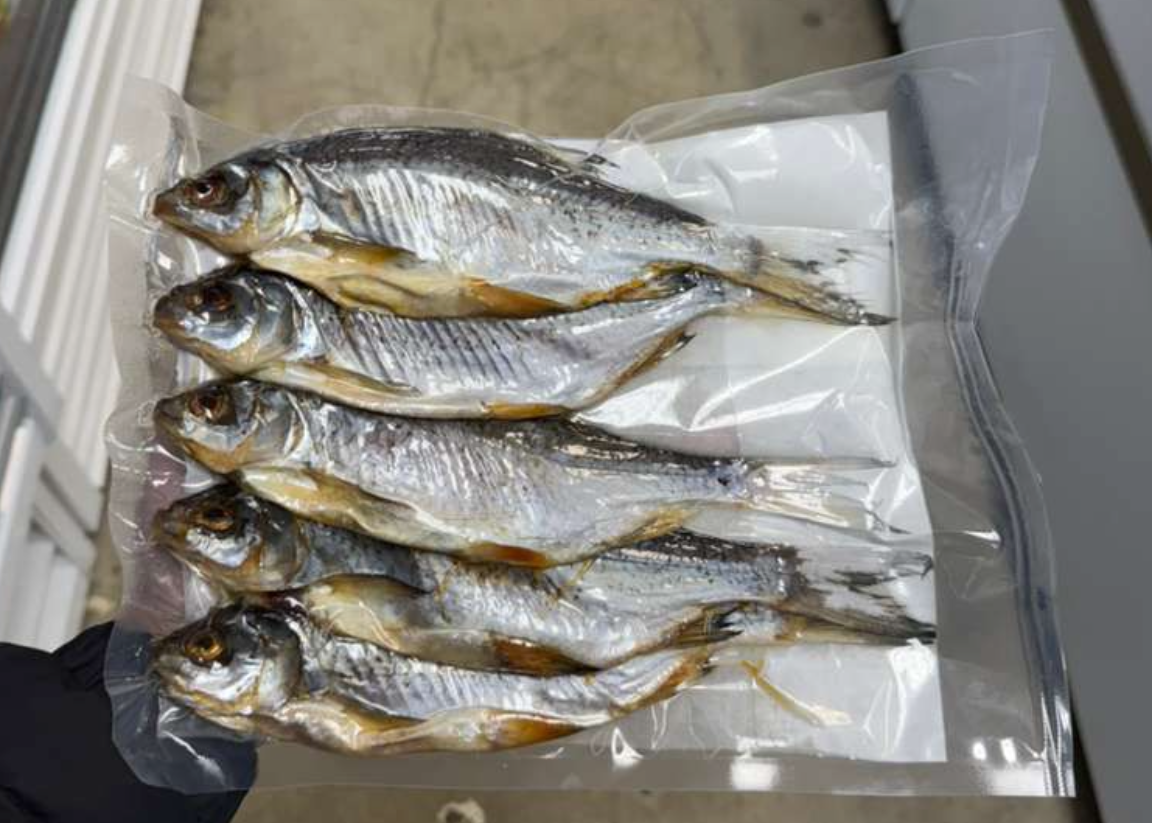 Dried Taranka (Ukraine)