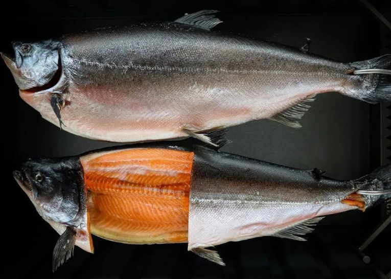 21-Day Dry-Aged Ora King Salmon (Whole or Fillet)