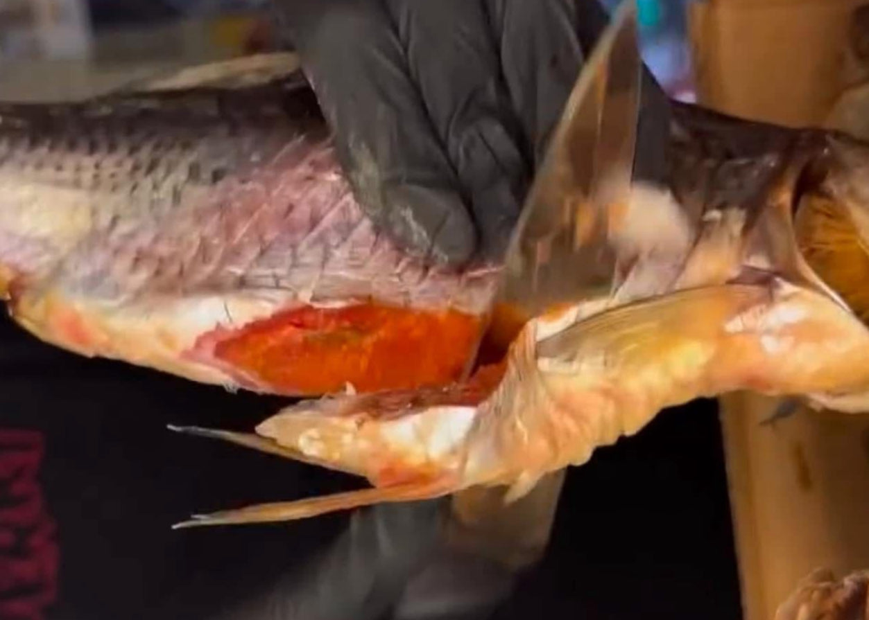 Dried Taranka Fish (Вяленая Тарань-ка)