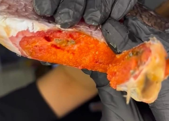 Dried Taranka Fish (Вяленая Тарань-ка)