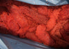 Œufs de saumon kéta frais non salés