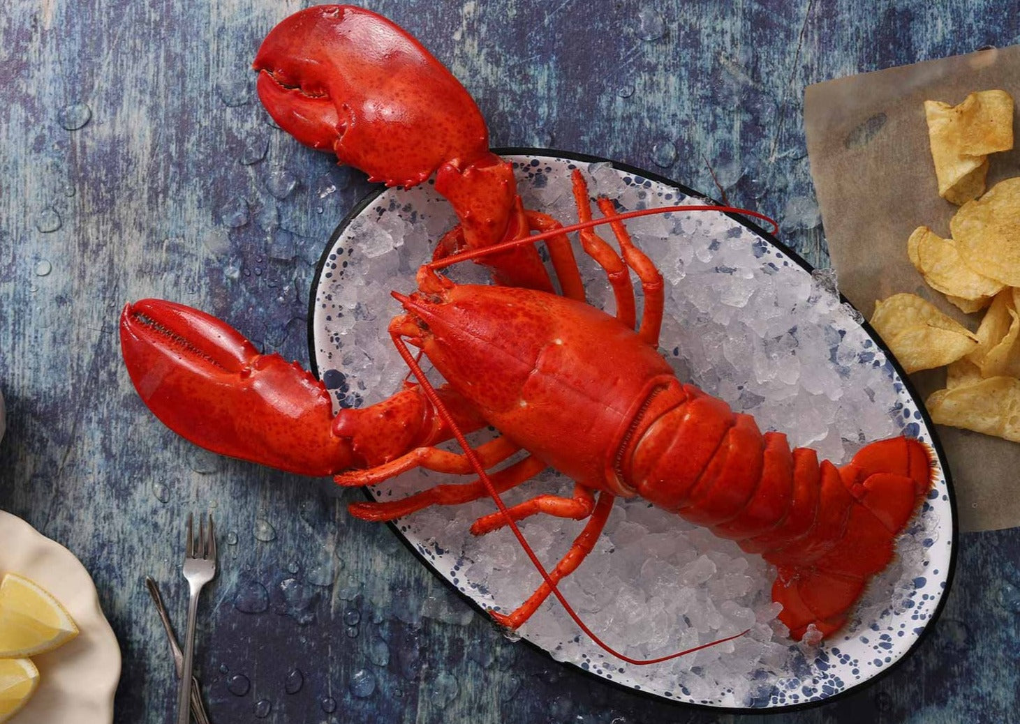 Freshly Caught Live or Cooked Maine Lobster FROM 2 PC