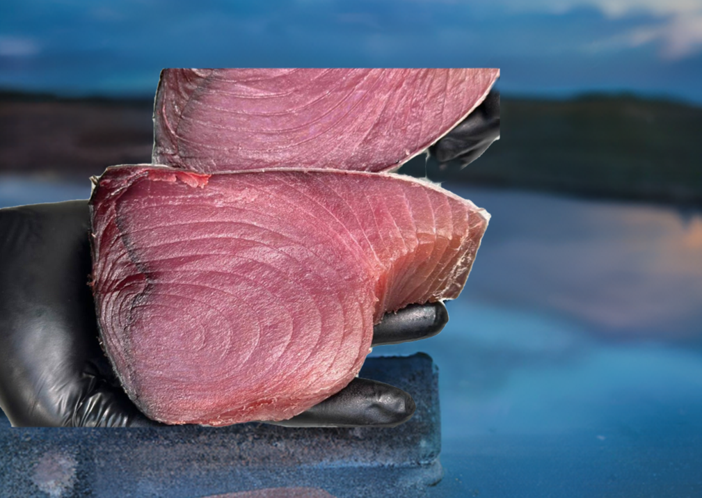 28 Day Dry Aged Yellowfin Tuna