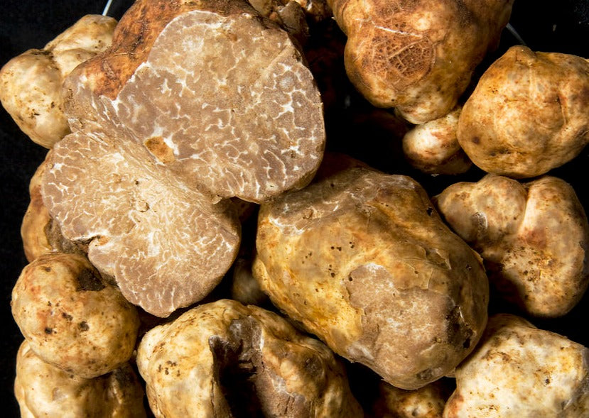 Fresh Whole Oregon White Truffles