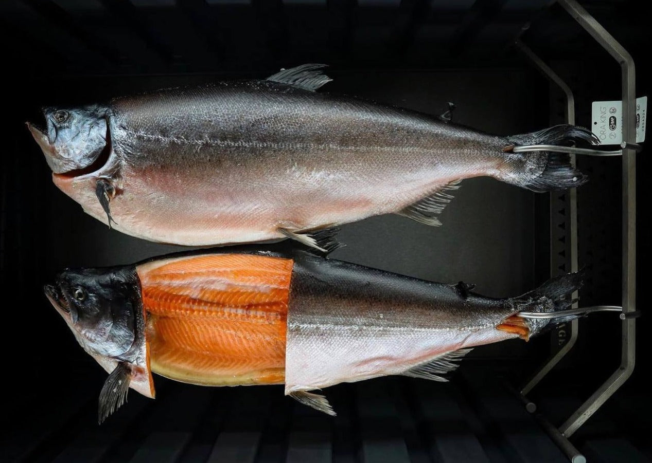 Dry Aged Ora King Salmon – Whole or Fillet