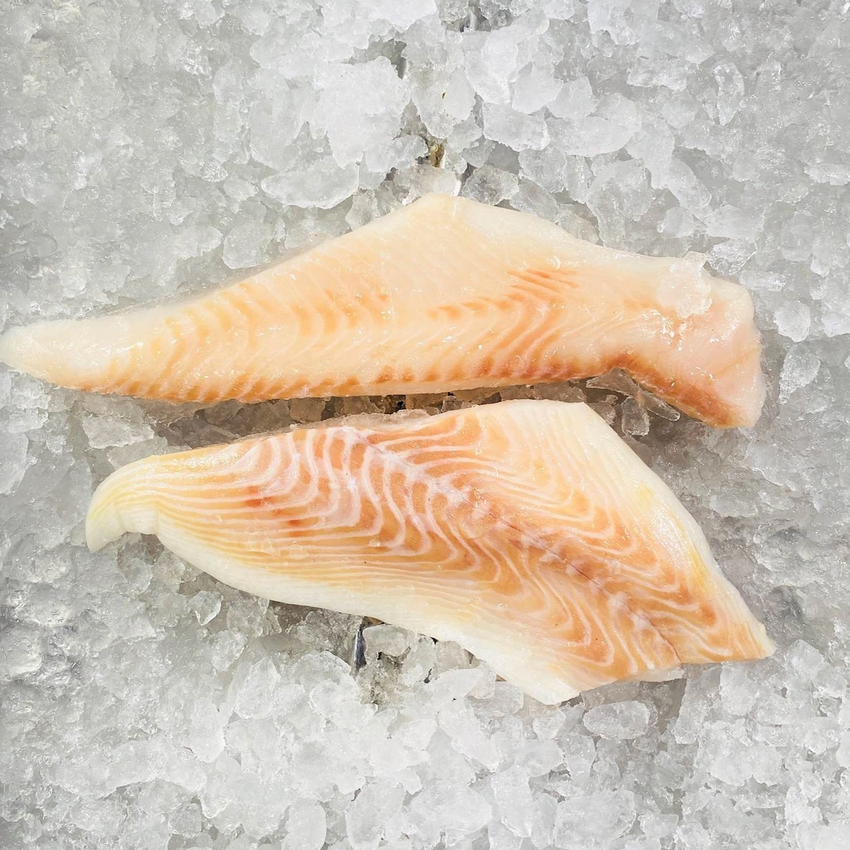 FRESH ALASKAN HALIBUT