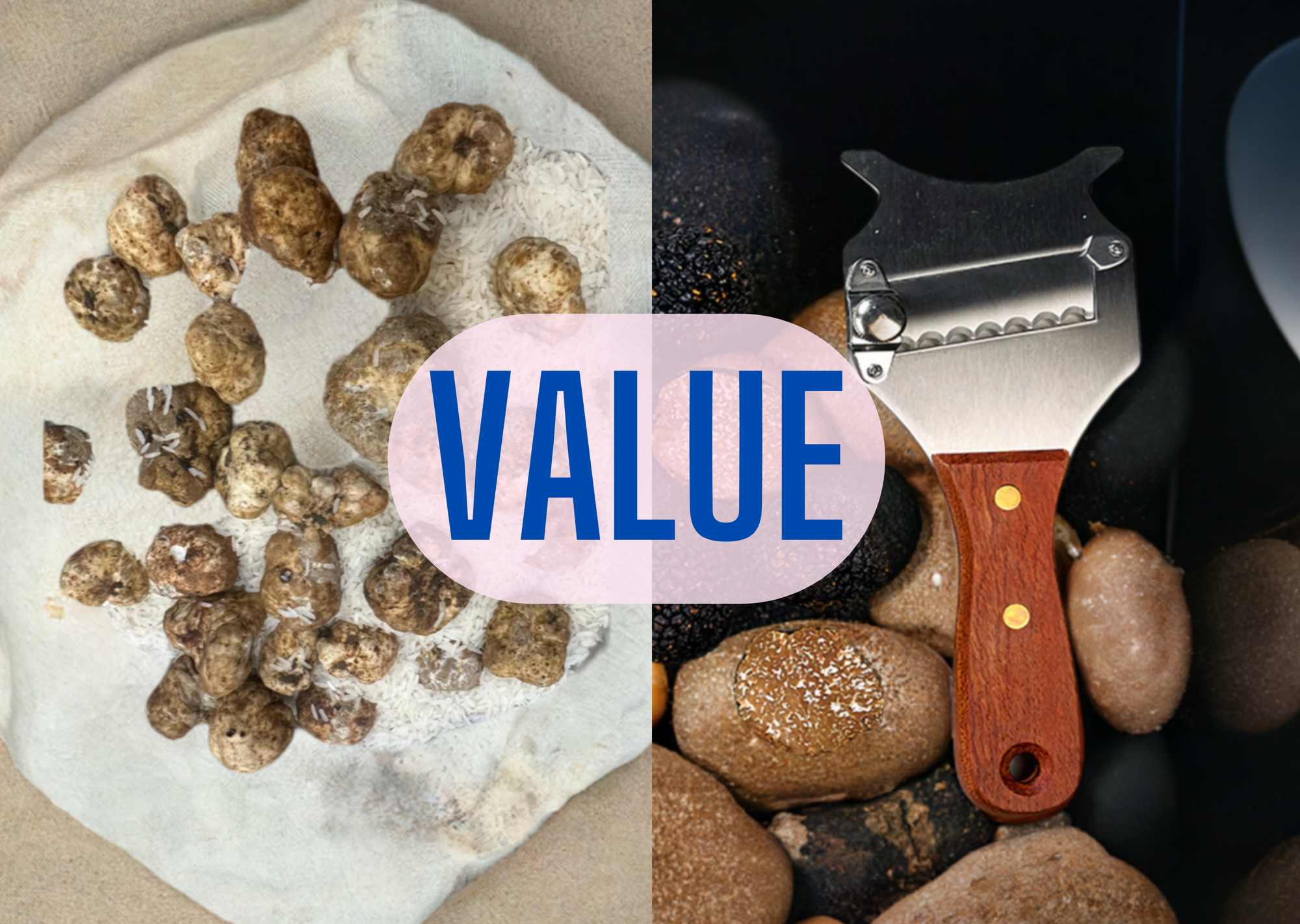 White Truffles Bundle